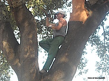 Abbau von natürlichem Kork in Portugal